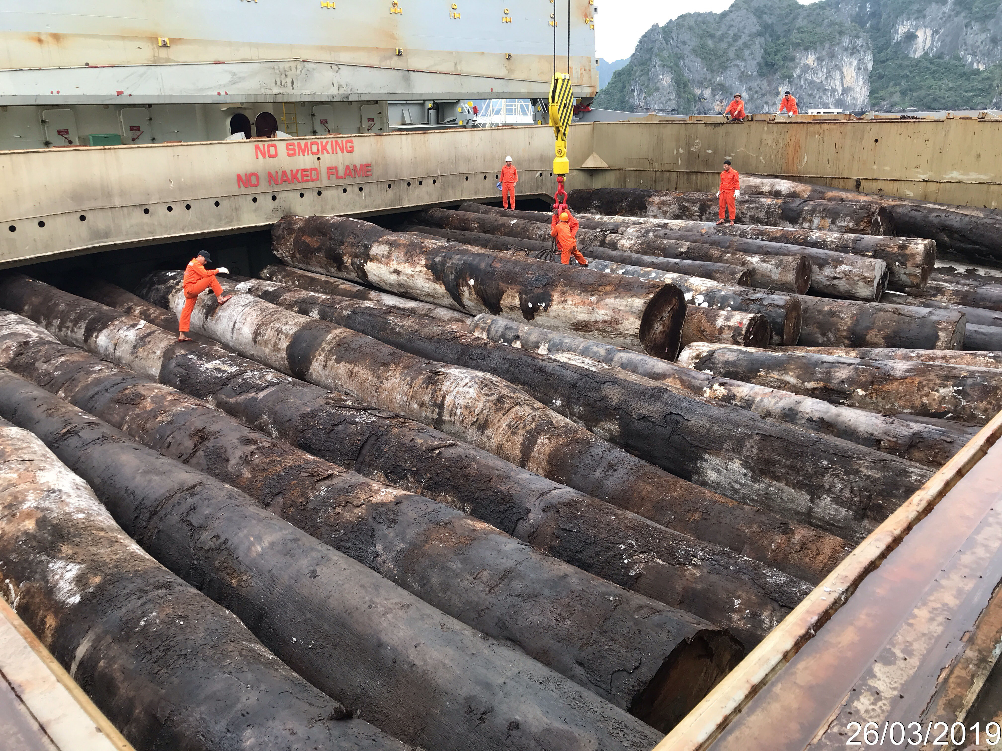 TALLYING - CARGO 1,851.194 CBM OF SURINAME ROUND LOGS