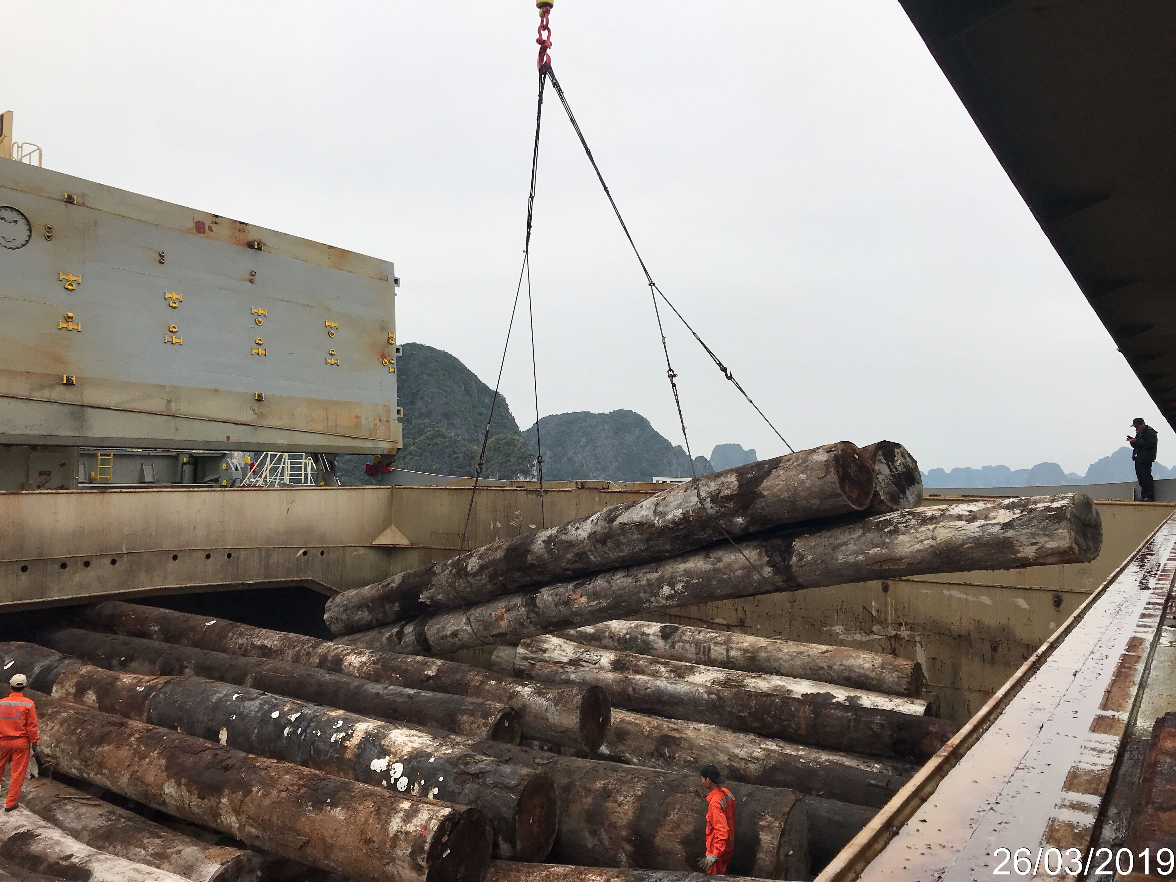 TALLYING - CARGO 1,851.194 CBM OF SURINAME ROUND LOGS